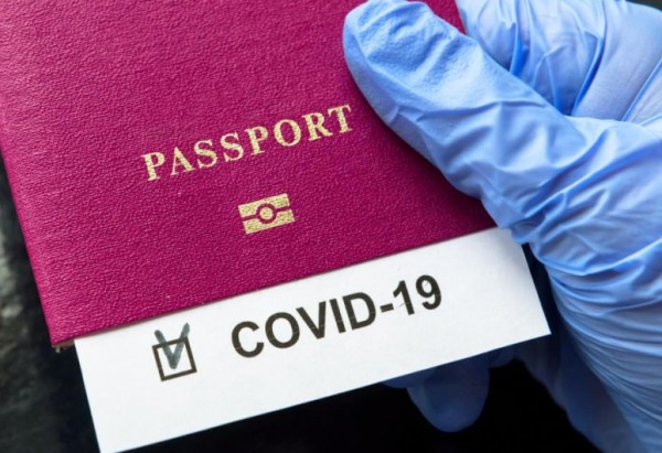 Saxta COVID pasportu verən vəzifəli şəxslər ifşa olundu